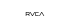 RVCA
