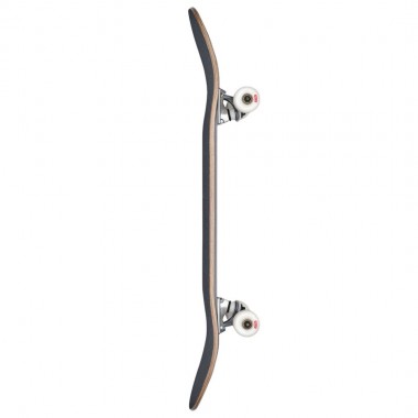 GLOBE GOODSTOCK COMPLETE SKATE BLACK 8.375