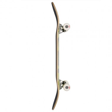 GLOBE G0 POND COMPLETE SKATE TOXIC/SWAMP 8.5