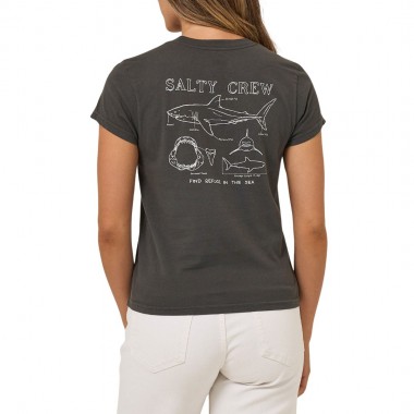SALTY CREW SHARK ANATOMY MODERN W TEE CHARCOAL