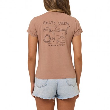 SALTY CREW SHARK ANATOMY MODERN W TEE MOCHA