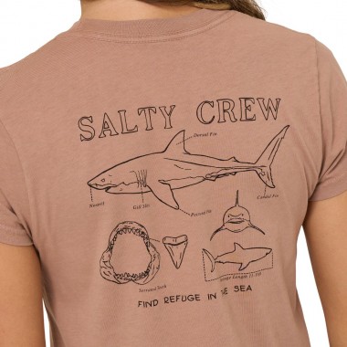 SALTY CREW SHARK ANATOMY MODERN W TEE MOCHA