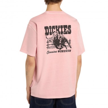 DICKIES BUCHTELL TEE BRIDAL ROSE