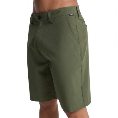 QUIKSILVER UNION AMPHIBIAN BOARDSHORTS 20 GRAPE LEAF