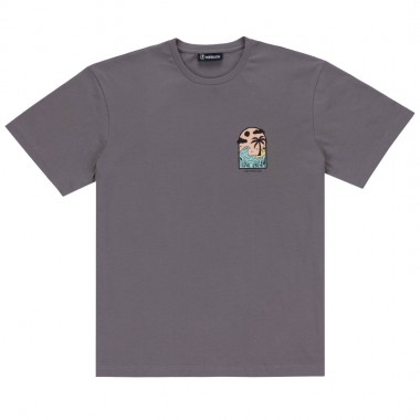 WE RIDE LOCAL TIDAL DREAM TEE GRAPHITE