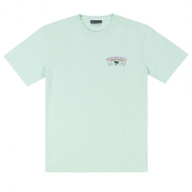 WE RIDE LOCAL SWELL TEE PIGMENT MINT