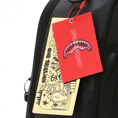 SPRAYGROUND STOLEN BACKPACK