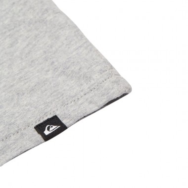 QUIKSILVER SALT WATER LS TEE LIGHT GREY HEATHER