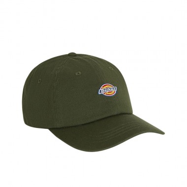 DICKIES HARDWICK CAP DEEP DEPTHS