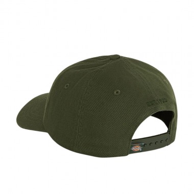DICKIES HARDWICK CAP DEEP DEPTHS
