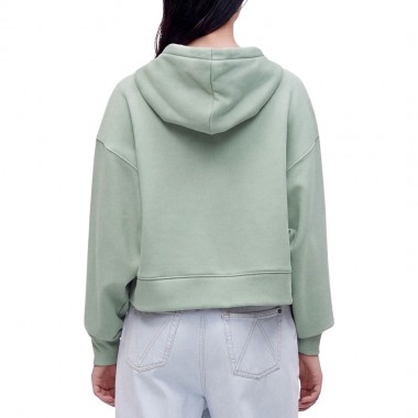 DICKIES OAKPORT W ZIP HOODIE JADEITE