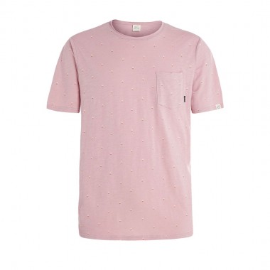 PROTEST PRTFADOR T-SHIRT MAUVEPINK