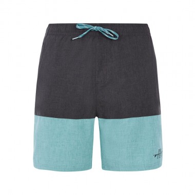 PROTEST PRTFIRDOWS BEACHSHORTS ARCTICGREEN