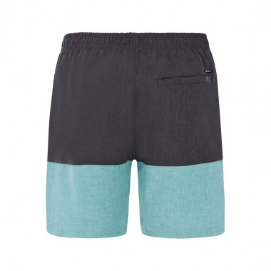 PROTEST PRTFIRDOWS BEACHSHORTS ARCTICGREEN