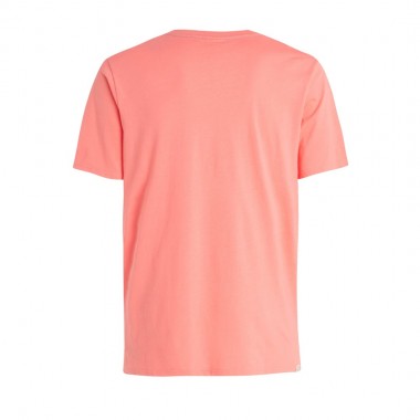 PROTEST PRTAHAIRD T-SHIRT SHELLPEACH