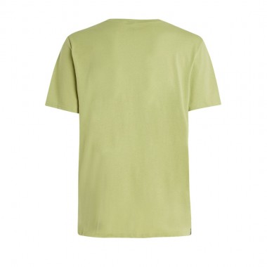PROTEST PRTAHAIRD T-SHIRT ALGAEGREEN