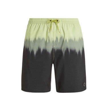 PROTEST PRTCAGNES BEACHSHORT ALGAEGREEN