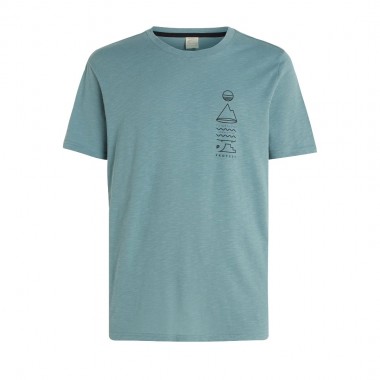 PROTEST PRTRHODAS T-SHIRT ARCTICGREEN