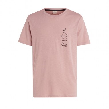 PROTEST PRTRHODAS T-SHIRT MAUVEPINK