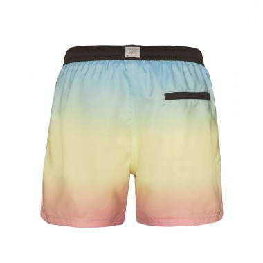 PROTEST QUINTIN BEACHSHORT BLUE ACID