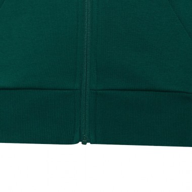ADIDAS ESSENTIALS JUNIOR FULL ZIP HOODIE CGREEN/WHITE