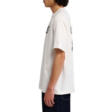 RVCA DALAS BALANCE T-SHIRT SALT