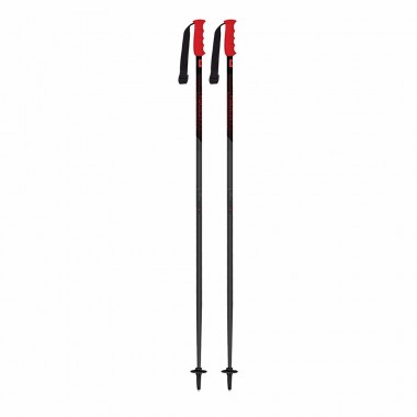 MAJESTY ADVENTURE PRO FIXED SKI POLES