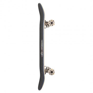 GLOBE KIDS HARMONY HOMIES MINI COMPLETE SKATE ALL IN 7.0