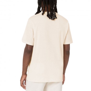 DICKIES MAPLETON TEE WHITECAP GRAY