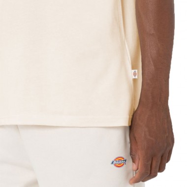 DICKIES MAPLETON TEE WHITECAP GRAY