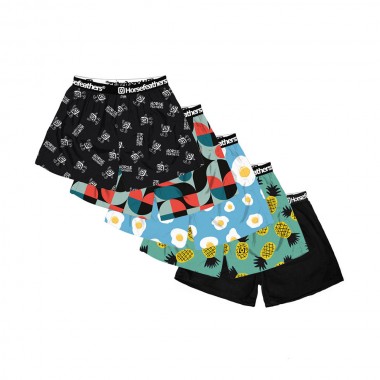 HORSEFEATHERS FRAZIER 5PACK BOXER SHORTS BUNDLE 3