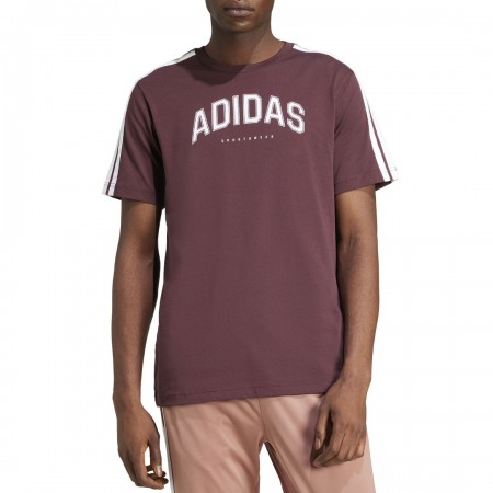 ADIDAS CODES COLLEGIATE LINEAR GRAPHIC TEE AURRUB
