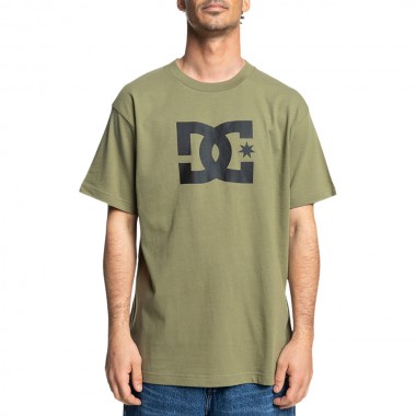DC STAR T-SHIRT DEEP LICHEN GREEN