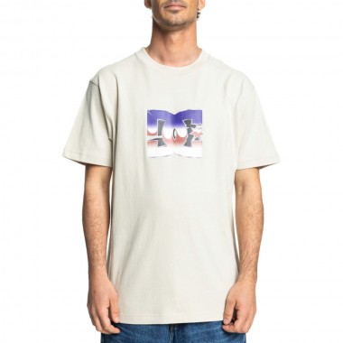 DC METALLIC STAR T-SHIRT PELICAN