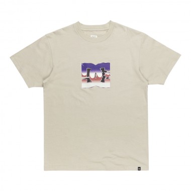 DC METALLIC STAR T-SHIRT PELICAN