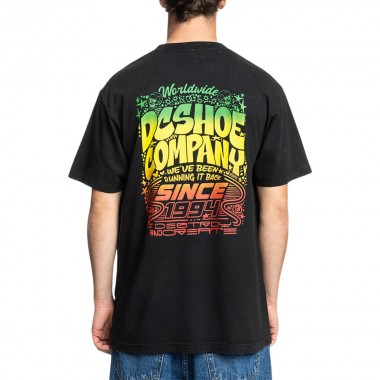 DC HOT BOX T-SHIRT BLACK RAIN WASH