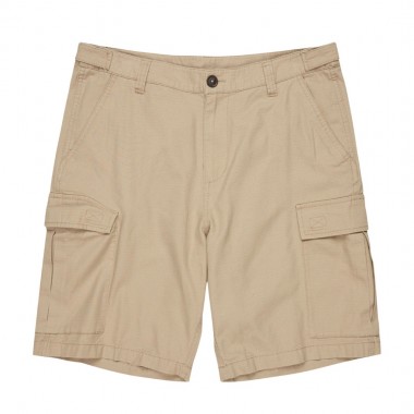 ELEMENT LEGION SHORTS ALUMINUM
