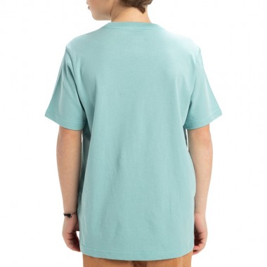 QUIKSILVER EV SKULL FEAST K T-SHIRT AQUIFER