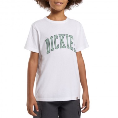 DICKIES AITKIN K TEE WHITE