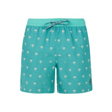 PROTEST PRTPARCO SWIM SHORTS WAVE GREEN
