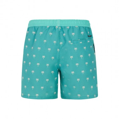 PROTEST PRTPARCO SWIM SHORTS WAVE GREEN