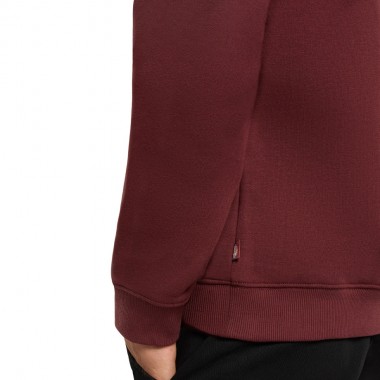 DICKIES OAKPORT HOODIE ANDORRA