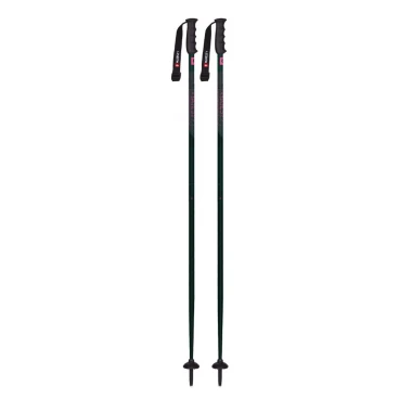 MAJESTY ALL MOUNTAIN FIXED ADVENTURE GT W SKI POLES