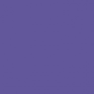 MONTANA BLACK SPRAY 400ML ROYAL PURPLE BLK4155