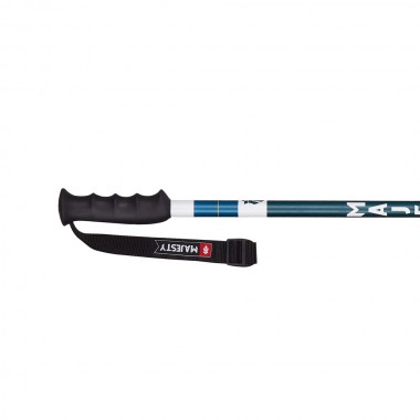 MAJESTY FIXED SKI POLES BLUE