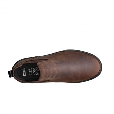 GLOBE DOVER II SHOES DARK BROWN/WASTED TALENT
