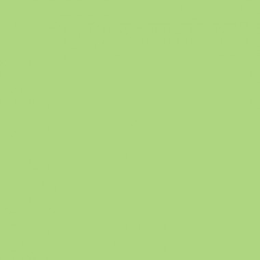 NEON GREEN FLUORESCENT 219