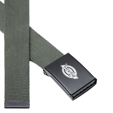 DICKIES ORCUTT WEBBING BELT OLIVE GREEN