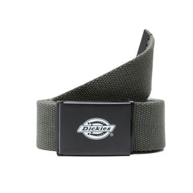 DICKIES ORCUTT WEBBING BELT OLIVE GREEN